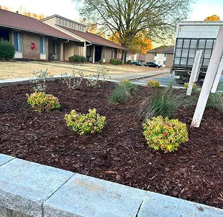 A garden filled with small planets and mulch.